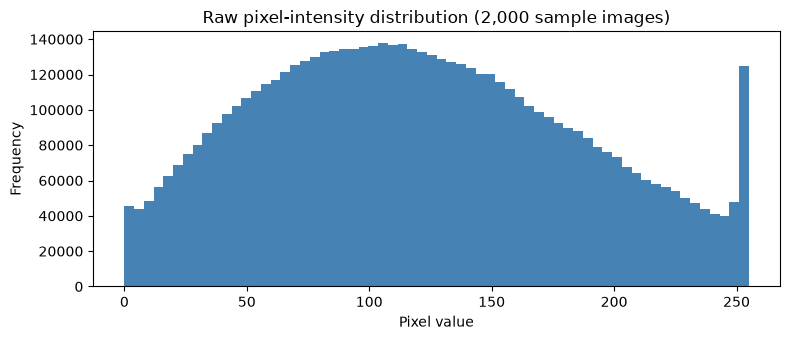 Raw pixel-intensity distribution (2,000 sample images)
